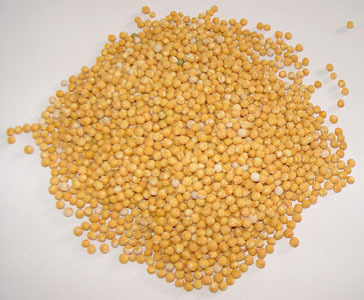 杂粮系列之绿豆 市场动态与供应链解析——以运城盐湖区荣兴网络技术服务为例